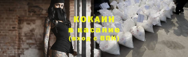 твердый Алексеевка