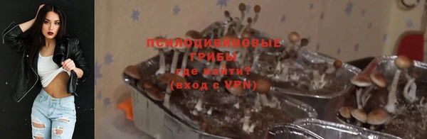apvp Алексин